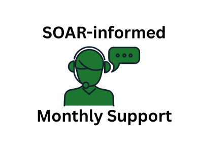 SOAR-Model Ongoing Monthly Support + Maintenance ($497)
