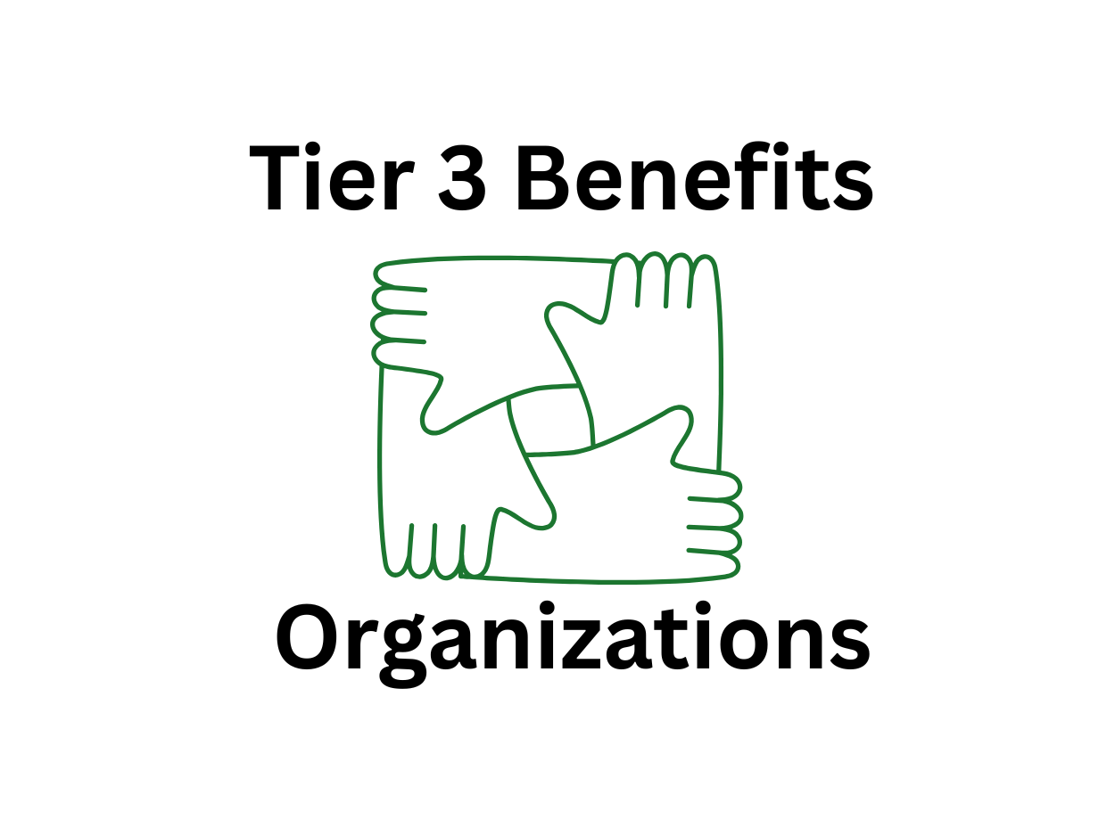 TIER 3 – Organization Setup & Deployment ($997+)